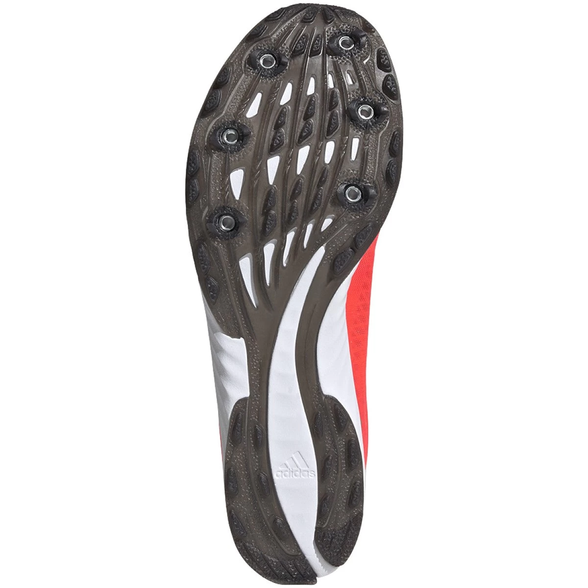 ADIDAS Women's Adizero XC Sprint Spike - Signal Pink/Core Black/TWR White- Regular (B) 5 ADIDAS Women's Adizero XC Sprint Spike - Signal Pink/Core Black/TWR White- Regular (B) - Image 3