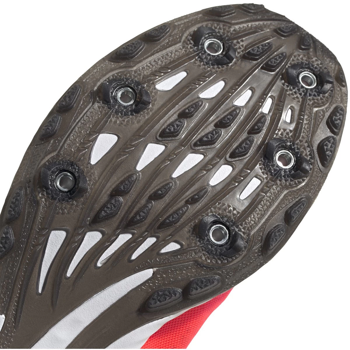 ADIDAS Women's Adizero XC Sprint Spike - Signal Pink/Core Black/TWR White- Regular (B) 7 ADIDAS Women's Adizero XC Sprint Spike - Signal Pink/Core Black/TWR White- Regular (B) - Image 5