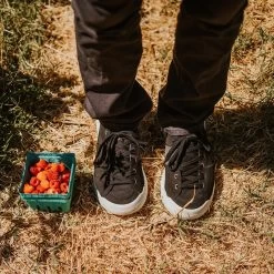 Men's X-Scape NBK Low Sneaker - Black/White - Regular (D) 20 Men's X-Scape NBK Low Sneaker - Black/White - Regular (D) -Sneaker Store mens x scape nbk low black white ls 1 800x 3a6d1a12 7fd3 4c79 ac9d 13c24d0fd9ec